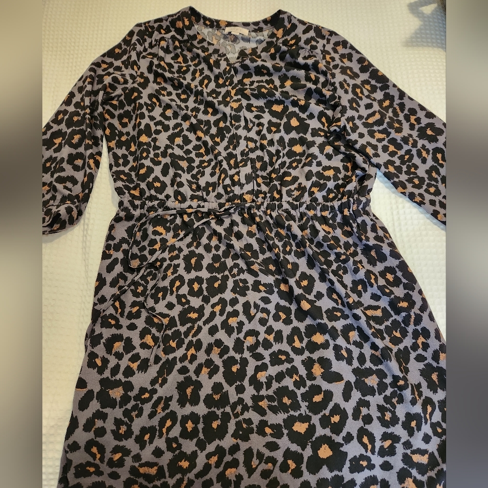 Loft Outlet Dress
